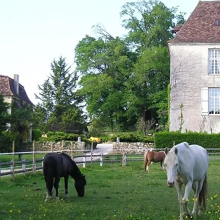 Hotel Manoir Du Grand Vignoble Saint-Julien-de-Crempse