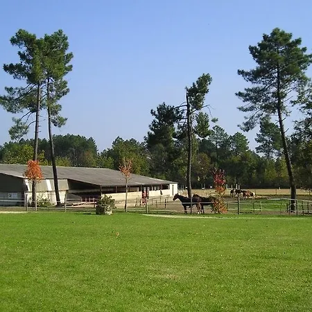 Manoir Du Grand Vignoble Saint-Julien-de-Crempse