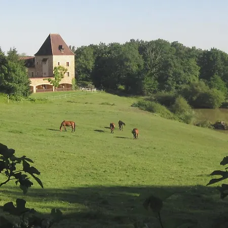 Manoir Du Grand Vignoble 3* Saint-Julien-de-Crempse