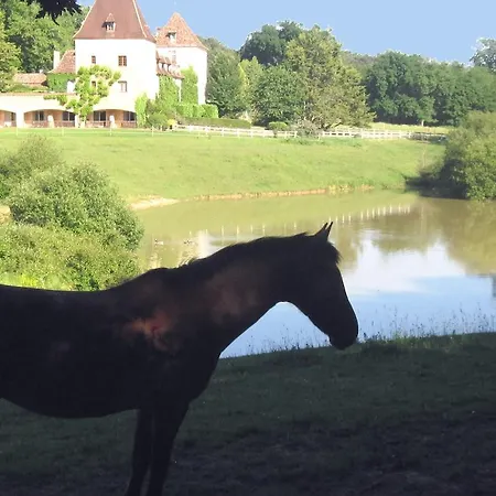 Manoir Du Grand Vignoble Hotel Saint-Julien-de-Crempse